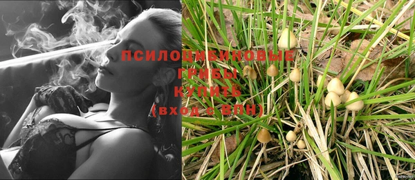 мет Абинск
