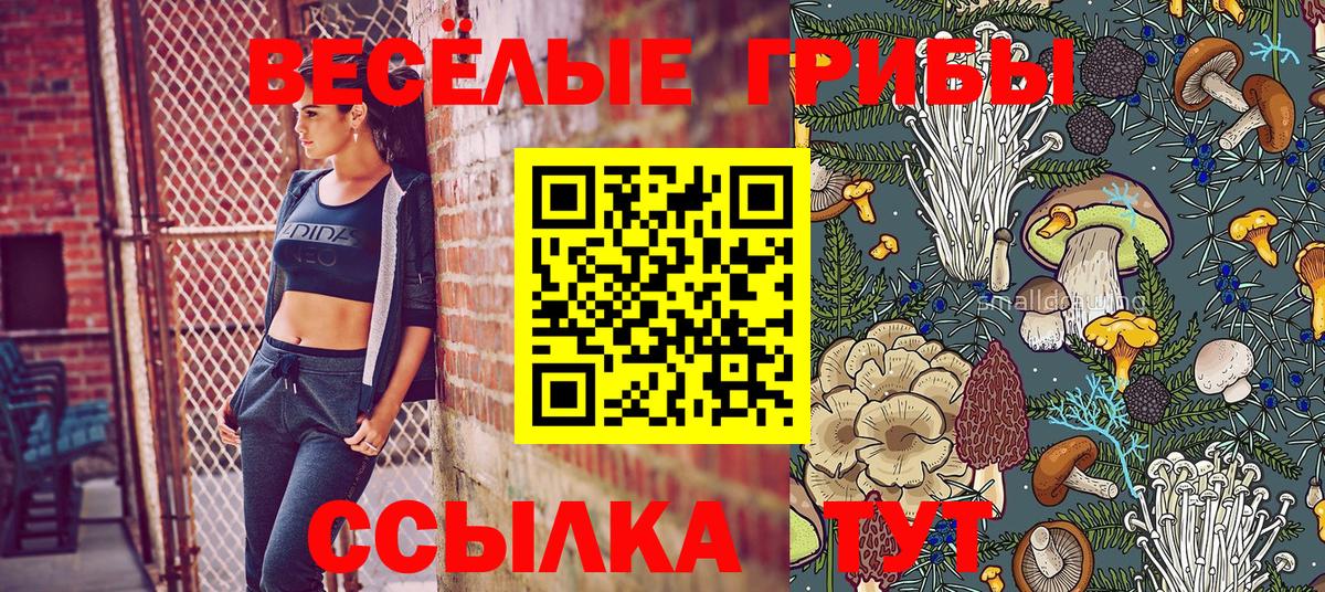 Псилоцибиновые грибы MAGIC MUSHROOMS  Вход с VPN  Галлюциногенные грибы GOLDEN TEACHER  Красноперекопск 